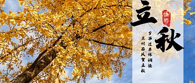 立秋佳节黄色叶子首图