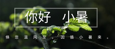 节气拍摄风格公众号首图