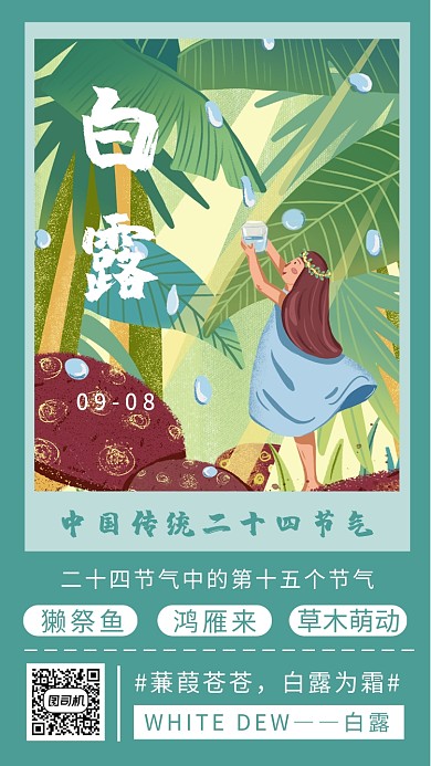 简约白露节气绿色插画风手机海报