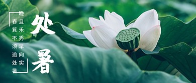 处暑荷花自然清新首图