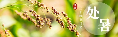 处暑banner
