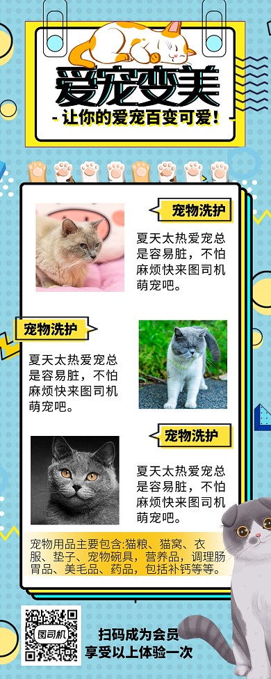 爱宠变美宠物美容宠物店长图海报