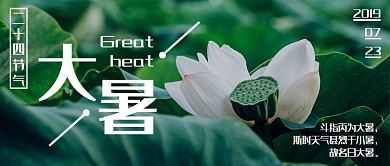 绿色荷叶二十四节气之大暑公众号首图