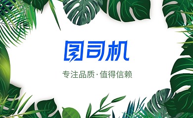绿色植物叶子名片