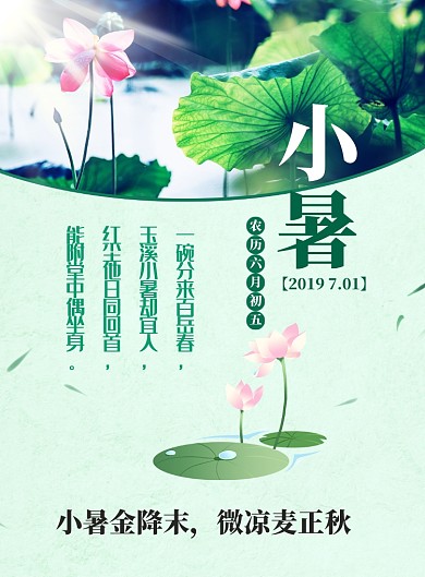 绿色摄影小暑宣传海报印刷