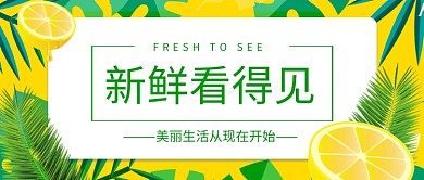 黄色清新水果柠檬公众号首图