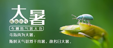 绿色传统节气之大暑公众号首图