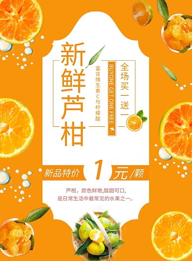 新鲜芦柑印刷海报