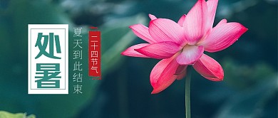 二十四节气处暑荷花公众号首图