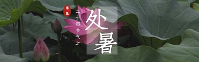 处暑banner