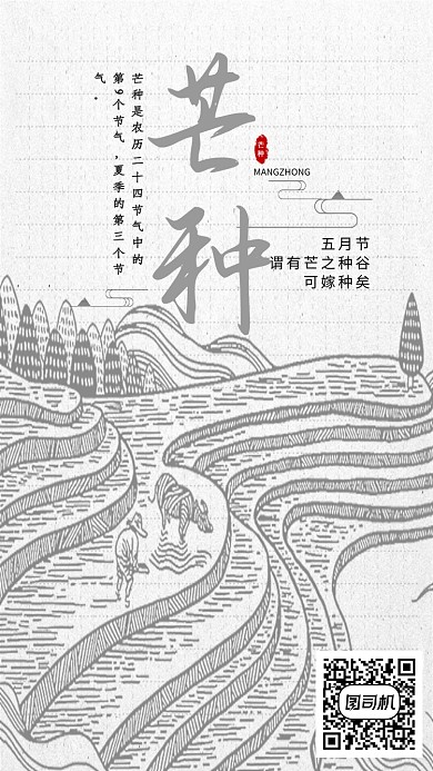 芒种灰白配色传统节气海报