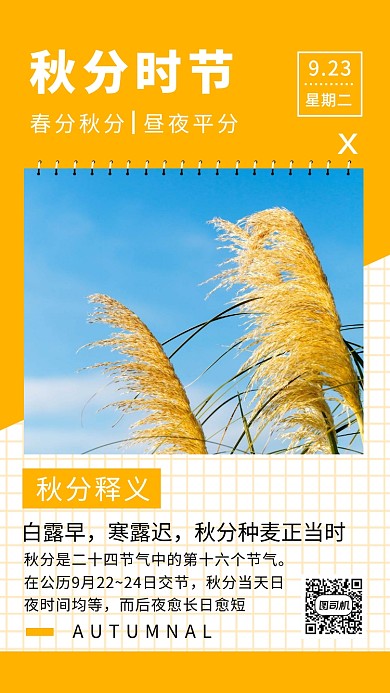 秋分时节简约创意手机海报