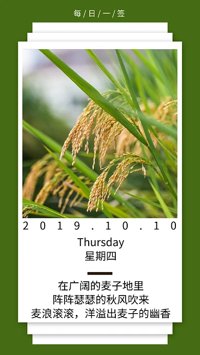 麦穗简约日签宣传绿色手机海报