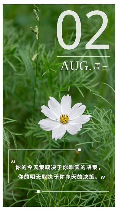 简洁绿色日签海报