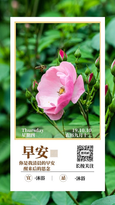 早安日签简约清新宣传手机海报