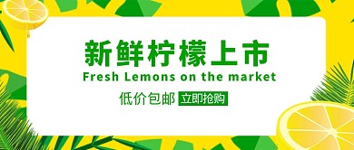 新鲜柠檬水果首图