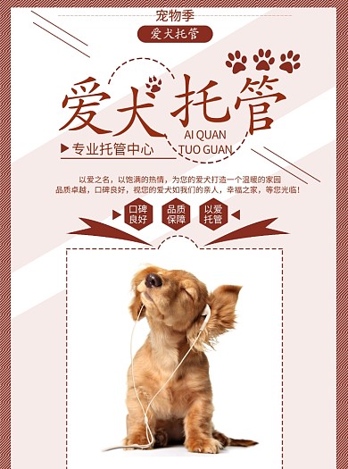 爱犬托管宣传单