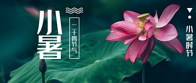 创意传统小暑节气首图