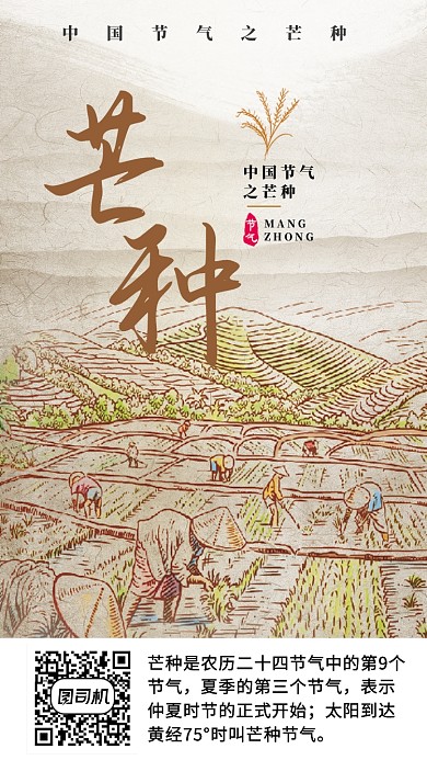 中国节气芒种简约月签手机海报