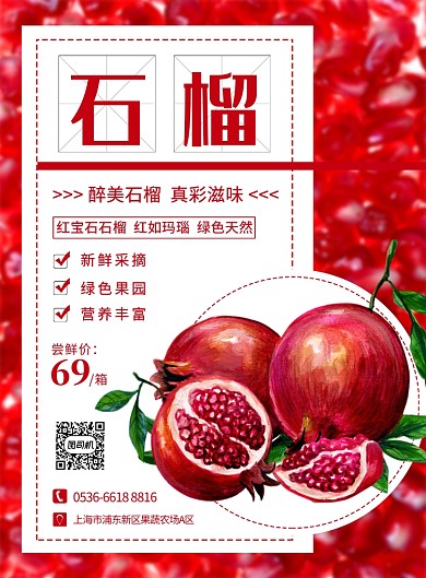 红色创意插画美食水果石榴印刷海报
