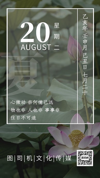 八月荷花夏日简约摄影绿色鸡汤日签海报