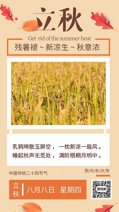 简约秋收24节气立秋手机海报