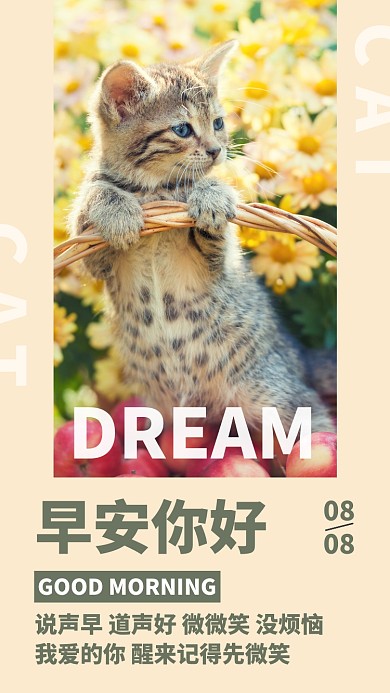 简约摄影小清新早安问候日签月签手机海报