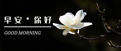 早安你好公众号首图