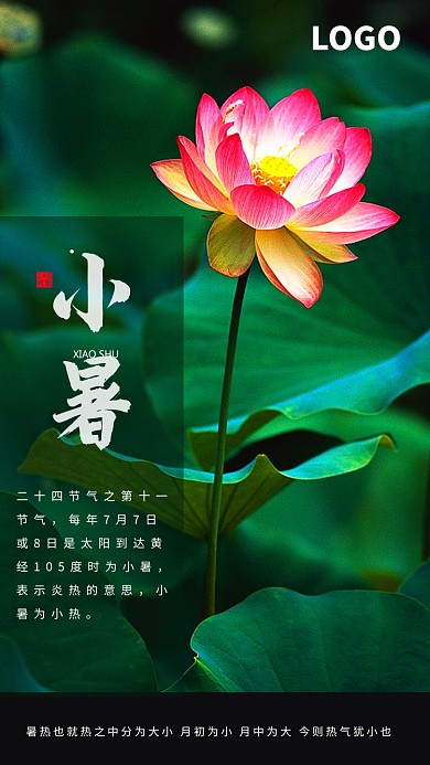 二十四节气之小暑 手机海报
