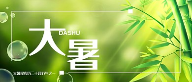 绿色清新夏季大暑节气广告微信公众号素材图片