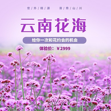 云南花海旅游淘宝主图直通车模板