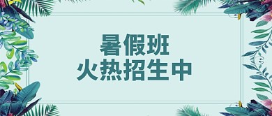 暑假班招生公众号首图