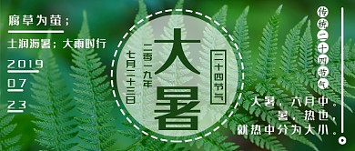 绿色清新大暑公众号首图