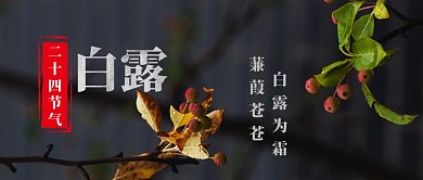 白露公众号首图