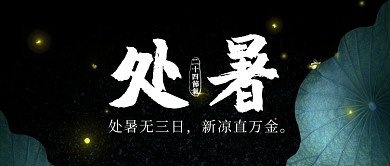 处暑夏日荷叶淡雅公众号封面