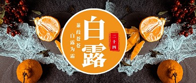 白露柑橘公众号首图