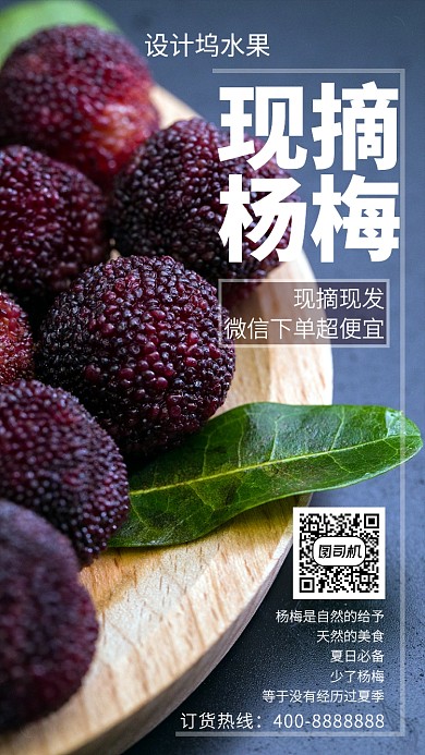 简洁现摘杨梅手机海报