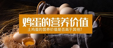 鸡蛋的营养探讨首图