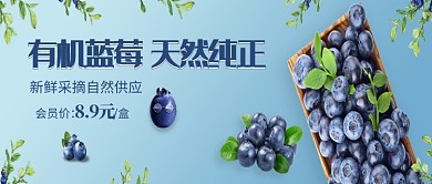 小清新有机蓝莓促销公众号首图