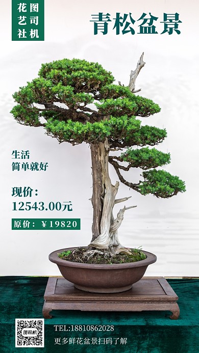 鲜花盆景促销手机海报