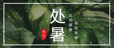 绿色处暑节气清新首图