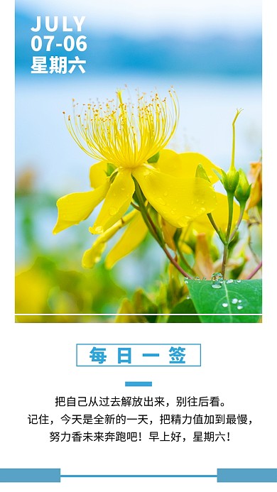 创意摄影花卉日签海报