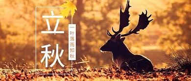唯美立秋首图