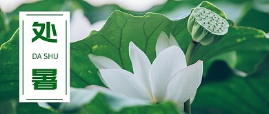 大暑绿色清新公众号首图