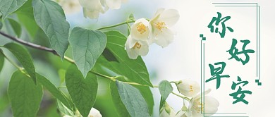 创意日签公众号首图