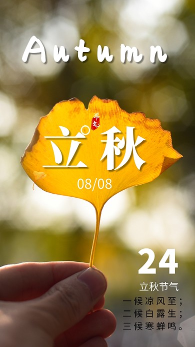 创意立秋二十四节气黄色叶子手机海报