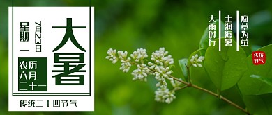 大暑节气月签公众号首图
