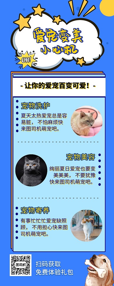 宠物医院宠物护理寄养美容长图海报
