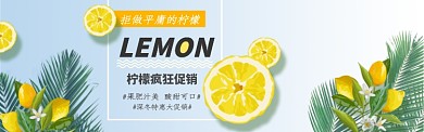 清新简约水果柠檬促销淘宝banner