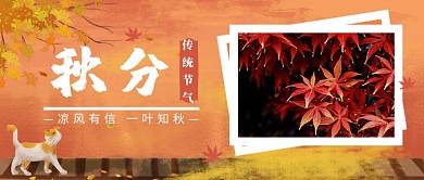  凉风有信 一叶知秋公众号首图